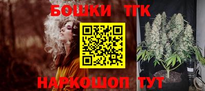 индика Обнинск