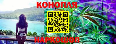 Альфа ПВП Новокубанск