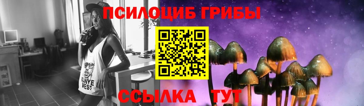 Галлюциногенные грибы Cubensis  Вход с VPN  Строитель 